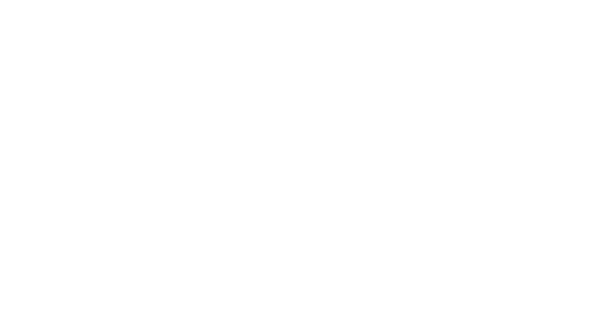 Il Sole 24 Ore Logo Bannerino Bianco1