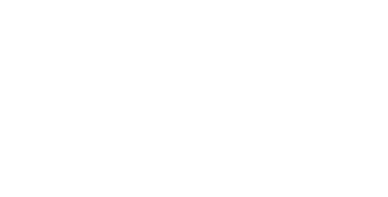 La Nazione Logo Bannerino Nero1